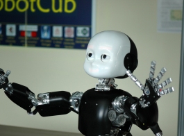 The humanoid robot-child